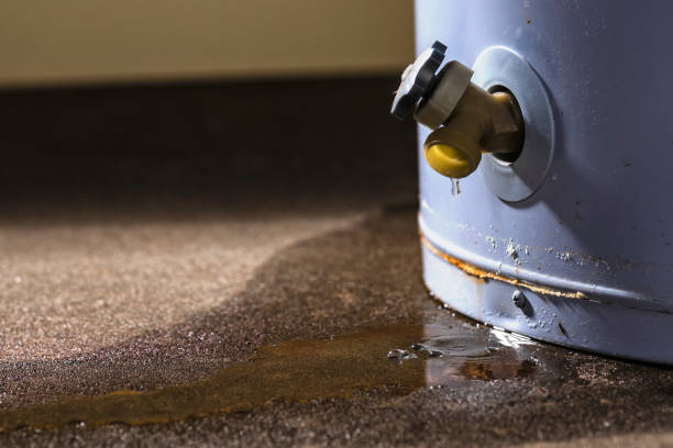 Best Sewage cleanup and water damage restoration  in Key Largo, FL