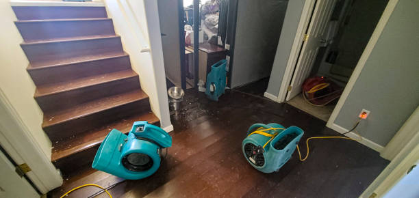Best Water damage contractors near me  in Key Largo, FL