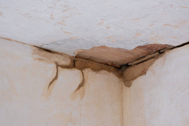 Trusted FL Water damage restoration Experts