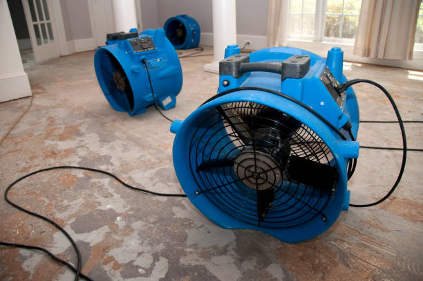 Best Flooded house restoration  in Key Largo, FL
