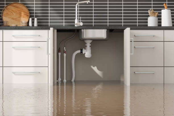 Best Commercial water damage restoration  in Key Largo, FL