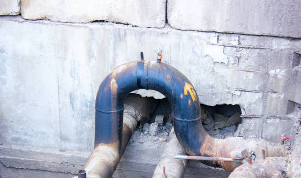 Best Water damage mitigation services  in Key Largo, FL