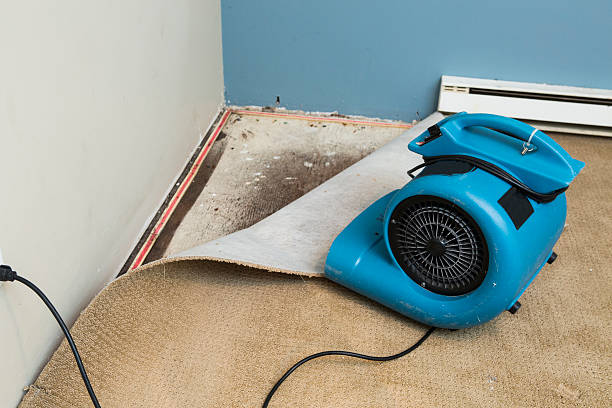 Best Water damage cleanup near me  in Key Largo, FL
